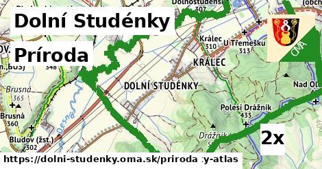 príroda v Dolní Studénky