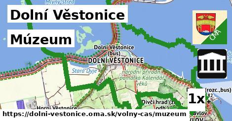 Múzeum, Dolní Věstonice