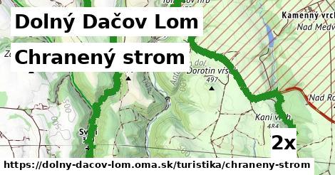 Chranený strom, Dolný Dačov Lom