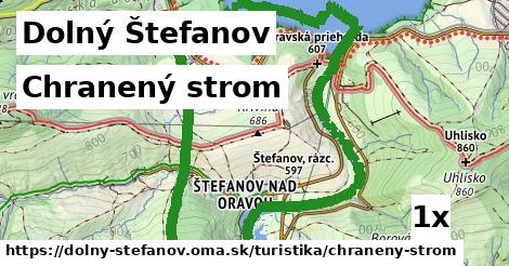 Chranený strom, Dolný Štefanov