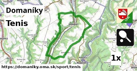 Tenis, Domaníky