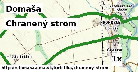 Chranený strom, Domaša