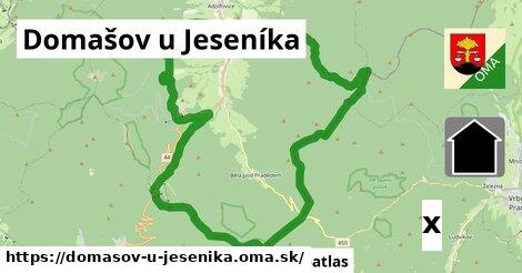 Reštaurácia, Domašov u Jeseníka