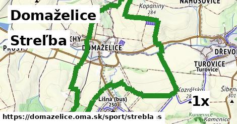 streľba v Domaželice