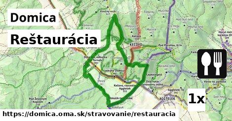 Reštaurácia, Domica