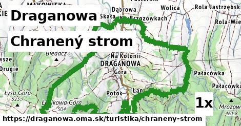 Chranený strom, Draganowa