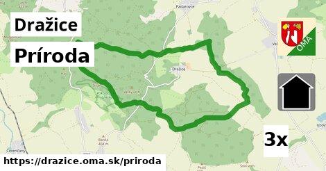 príroda v Dražice