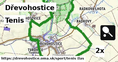 Tenis, Dřevohostice