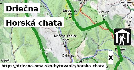 Horská chata, Driečna