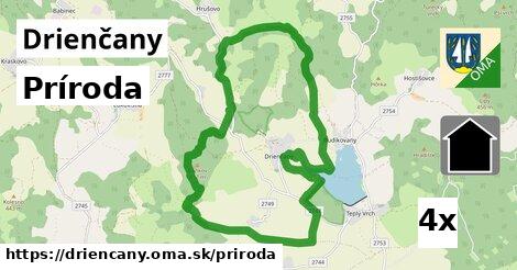 príroda v Drienčany