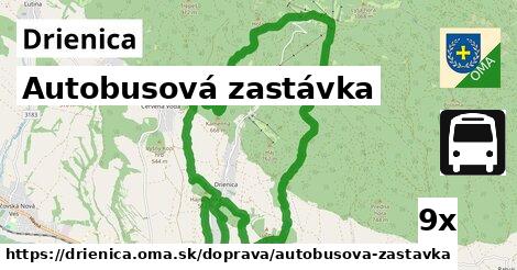 Autobusová zastávka, Drienica