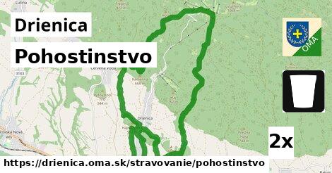 Pohostinstvo, Drienica