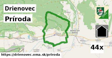 príroda v Drienovec