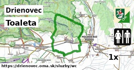 Toaleta, Drienovec