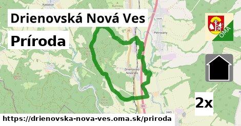 príroda v Drienovská Nová Ves