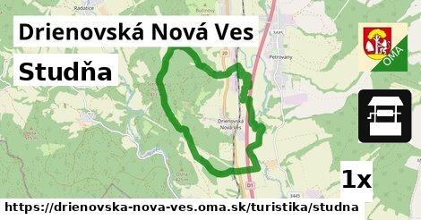 Studňa, Drienovská Nová Ves