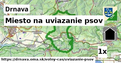 Miesto na uviazanie psov, Drnava