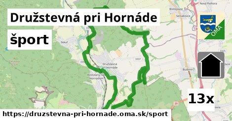 šport v Družstevná pri Hornáde