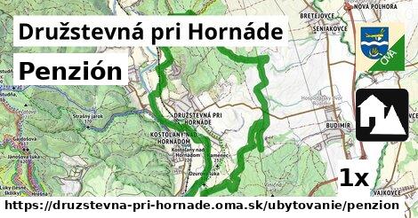 Penzión, Družstevná pri Hornáde