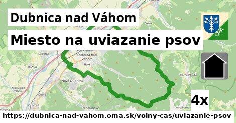 Miesto na uviazanie psov, Dubnica nad Váhom