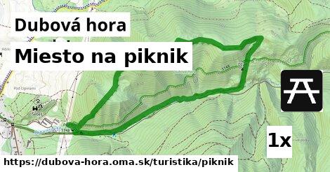 Miesto na piknik, Dubová hora