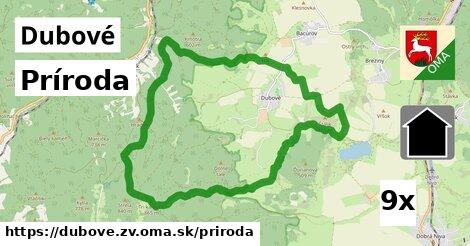 príroda v Dubové, okres ZV