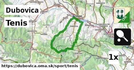 Tenis, Dubovica