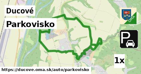 Parkovisko, Ducové