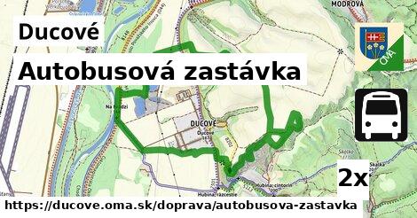 Autobusová zastávka, Ducové