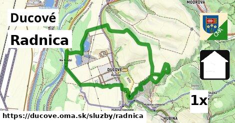 Radnica, Ducové