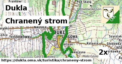 Chranený strom, Dukla