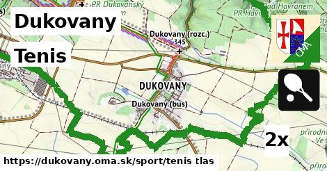 Tenis, Dukovany