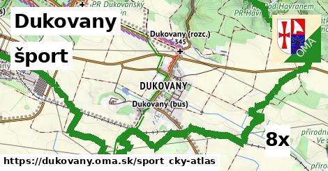 šport v Dukovany