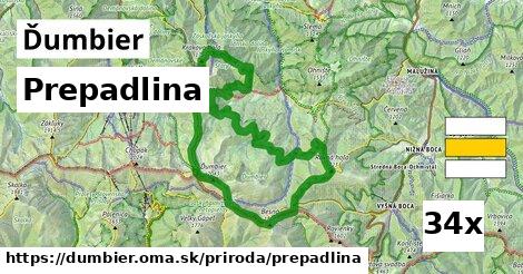 Prepadlina, Ďumbier