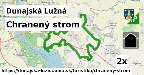 Chranený strom, Dunajská Lužná