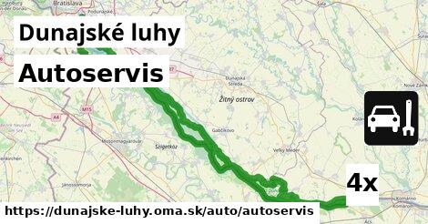 Autoservis, Dunajské luhy