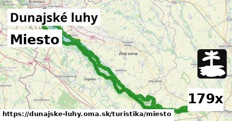 Miesto, Dunajské luhy