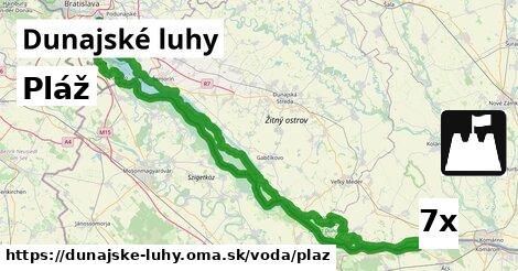 Pláž, Dunajské luhy