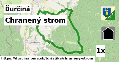 Chranený strom, Ďurčiná