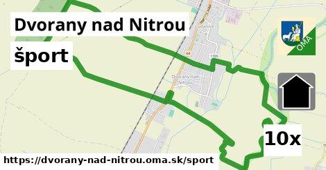 šport v Dvorany nad Nitrou