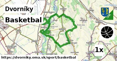 Basketbal, Dvorníky