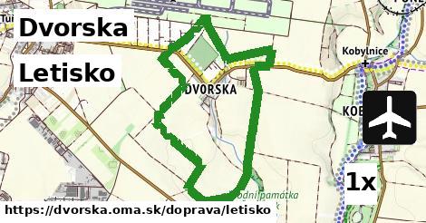 Letisko, Dvorska