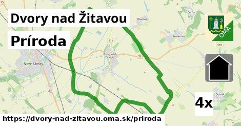 príroda v Dvory nad Žitavou