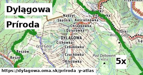 príroda v Dylągowa