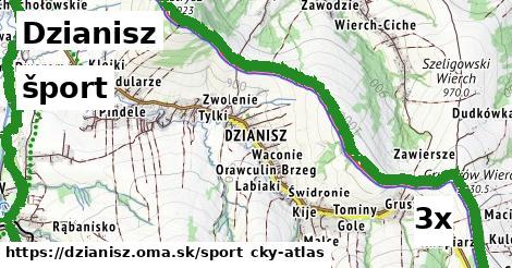 šport v Dzianisz