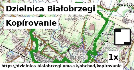 Kopírovanie, Dzielnica Białobrzegi