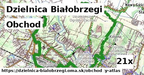 obchod v Dzielnica Białobrzegi