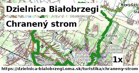 Chranený strom, Dzielnica Białobrzegi