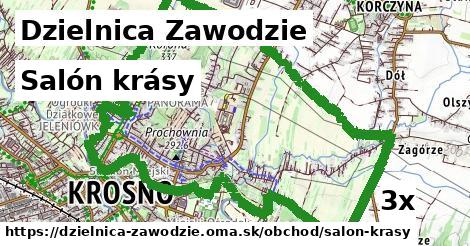 Salón krásy, Dzielnica Zawodzie