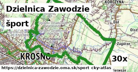 šport v Dzielnica Zawodzie